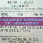 世界杯彩票是怎么算的-解析世界杯彩票计算方式，从概率到奖金的奥秘