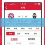 支付宝世界杯竞彩软件-支付宝世界杯竞彩软件，塑造数字化体育彩票新风尚的探索实践