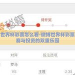 微博世界杯彩票怎么看-微博世界杯彩票，观赛与投资的双重乐园