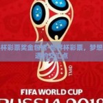 世界杯彩票奖金包括-世界杯彩票，梦想与机遇的交汇点