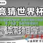 体育彩票卖世界杯吗-体育彩票助力世界杯激情，机遇、规则与影响探讨