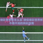 微信体彩世界杯怎么买-微信体彩世界杯，你不得不知的购彩指南