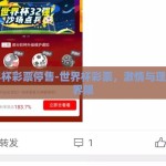 世界杯彩票停售-世界杯彩票，激情与理性的界限