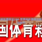世界杯彩票投注258-世界杯彩票投注的智慧与魅力