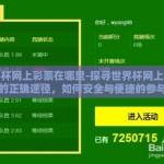 世界杯网上彩票在哪里-探寻世界杯网上彩票的正确途径，如何安全与便捷的参与