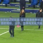 香港世界杯正规彩票-探索香港世界杯正规彩票的背后，公平、竞争与文化交融