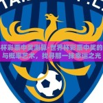 世界杯彩票中奖测算-世界杯彩票中奖的数学与概率艺术，找寻那一抹幸运之光