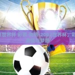 2002世界杯 彩票 说明-2002世界杯，彩票的激情与梦想