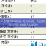 新浪彩票世界杯投注-奇幻杯赛，新浪彩票世界杯投注的诱人与风险