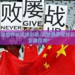 如何买世界杯足球彩票-买世界杯足球彩票的正确指南