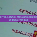 世界杯在哪儿买彩票-世界杯彩票购买指南，合法渠道与注意事项