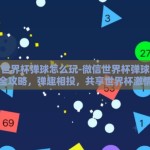 微信世界杯弹球怎么玩-微信世界杯弹球游戏全攻略，弹趣相投，共享世界杯激情