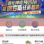 直播买彩票 世界杯-直播买彩票，世界杯期间的竞猜新风尚