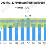 世界杯彩票概率-世界杯彩票的奇幻数字游戏，概率的探秘与解析