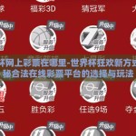 世界杯网上彩票在哪里-世界杯狂欢新方式，揭秘合法在线彩票平台的选择与玩法