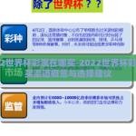 2022世界杯彩票在哪买-2022世界杯彩票购买渠道概览与选择建议