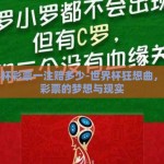 世界杯彩票一注赔多少-世界杯狂想曲，单注彩票的梦想与现实