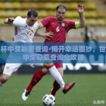 世界杯中奖彩票查询-揭开幸运面纱，世界杯中奖彩票查询全攻略