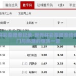 世界杯彩票赔率纪录-世界杯彩票赔率传奇，冷门与热潮的惊鸿一瞥