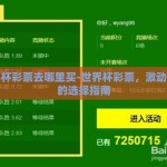 世界杯彩票去哪里买-世界杯彩票，激动人心的选择指南