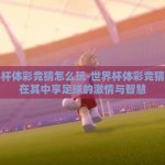 世界杯体彩竞猜怎么玩-世界杯体彩竞猜，乐在其中享足球的激情与智慧