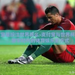 支付宝能投注世界杯么-支付宝与世界杯投注，数字时代的体育娱乐新方式