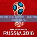 2014世界杯 彩票-超越梦想，2014世界杯的彩票热潮记忆