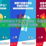 优酷世界杯怎么下注-足坛盛宴，优酷世界杯的观赛与合理下注指南