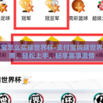 支付宝怎么买球世界杯-支付宝购球世界杯指南，轻松上手，畅享赛事激情