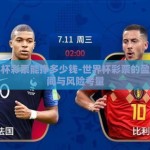 世界杯彩票能挣多少钱-世界杯彩票的盈利空间与风险考量