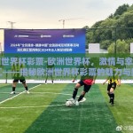 欧洲世界杯彩票-欧洲世界杯，激情与幸运的交汇——揭秘欧洲世界杯彩票的魅力与奥秘
