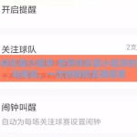 世界杯彩票小程序-世界杯彩票小程序的崛起与挑战，一次创新的实践探索