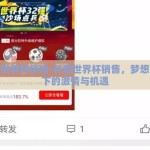 彩票世界杯销售-彩票世界杯销售，梦想导航下的激情与机遇