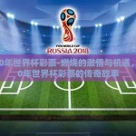 2010年世界杯彩票-燃烧的激情与机遇，2010年世界杯彩票的传奇故事
