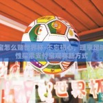 支付宝怎么赌世界杯-不忘初心，理享足球，理性探索支付宝观赛新方式