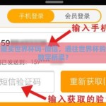 微信能买世界杯吗-微信，通往世界杯购票的数字桥梁？