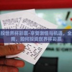 怎么投世界杯彩票-享受激情与机遇，全面指南，如何投资世界杯彩票