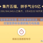 支付宝世界杯彩票-挑战赛事新玩法，揭秘支付宝世界杯彩票的魅力与乐趣