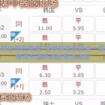 世界杯彩票在哪里-世界杯彩票站点一探，神秘而充满机遇的投注之旅