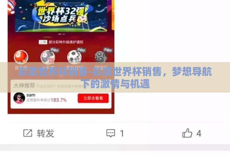 彩票世界杯销售-彩票世界杯销售，梦想导航下的激情与机遇