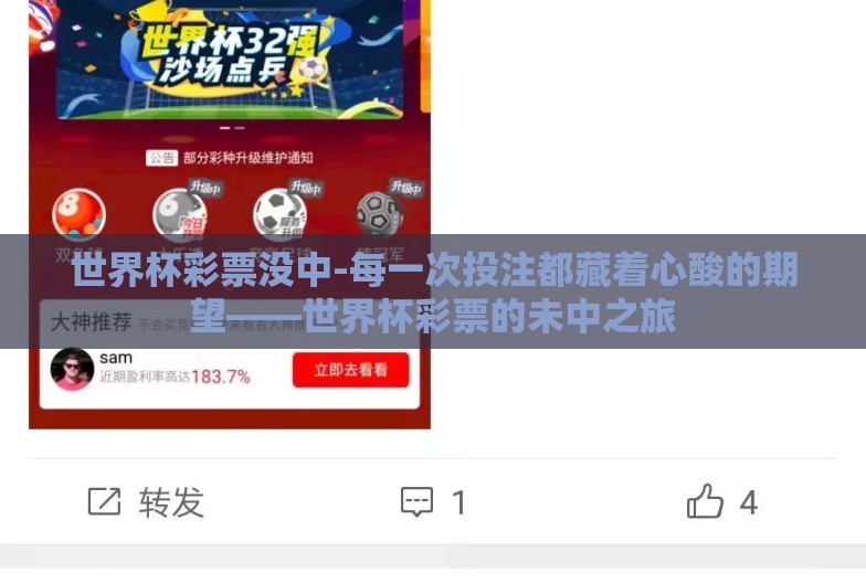 世界杯彩票没中-每一次投注都藏着心酸的期望——世界杯彩票的未中之旅 世界杯彩票没中-每一次投注都藏着心酸的期望——世界杯彩票的未中之旅