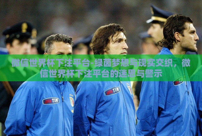 微信世界杯下注平台-绿茵梦想与现实交织,微信世界杯下注平台的迷思与警示 微信世界杯下注平台-绿茵梦想与现实交织,微信世界杯下注平台的迷思与警示