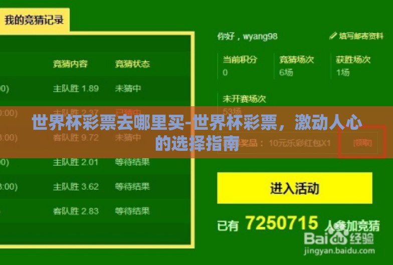 世界杯彩票去哪里买-世界杯彩票，激动人心的选择指南