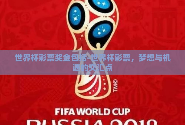 世界杯彩票奖金包括-世界杯彩票，梦想与机遇的交汇点