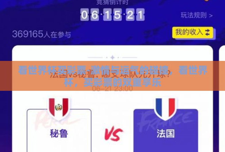 看世界杯买彩票-激情与运气的碰撞，看世界杯，买彩票的双重享乐