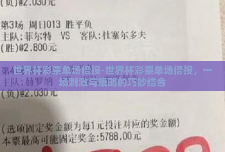 世界杯彩票单场倍投-世界杯彩票单场倍投,一场刺激与策略的巧妙结合 世界杯彩票单场倍投-世界杯彩票单场倍投,一场刺激与策略的巧妙结合