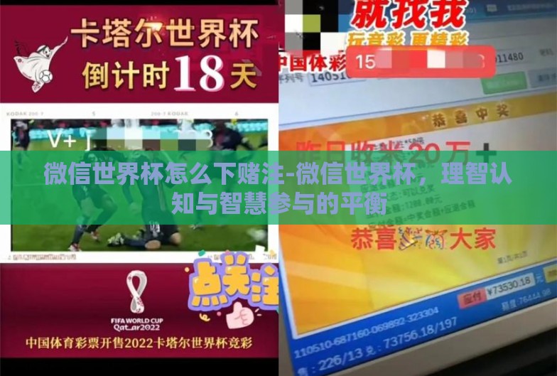 微信世界杯怎么下赌注-微信世界杯,理智认知与智慧参与的平衡 微信世界杯怎么下赌注-微信世界杯,理智认知与智慧参与的平衡