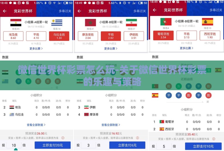 微信世界杯彩票怎么玩-关于微信世界杯彩票的乐趣与策略