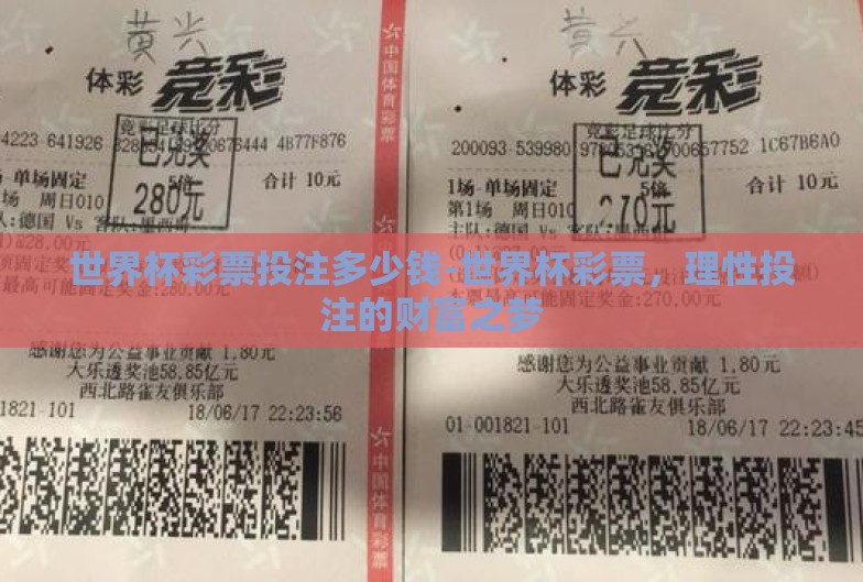 世界杯彩票投注多少钱-世界杯彩票，理性投注的财富之梦