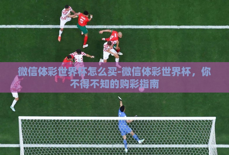 微信体彩世界杯怎么买-微信体彩世界杯，你不得不知的购彩指南